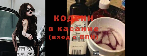гашик Кодинск