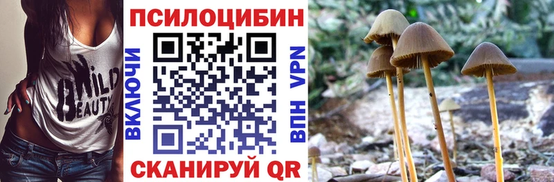 Галлюциногенные грибы Magic Shrooms  Лобня 