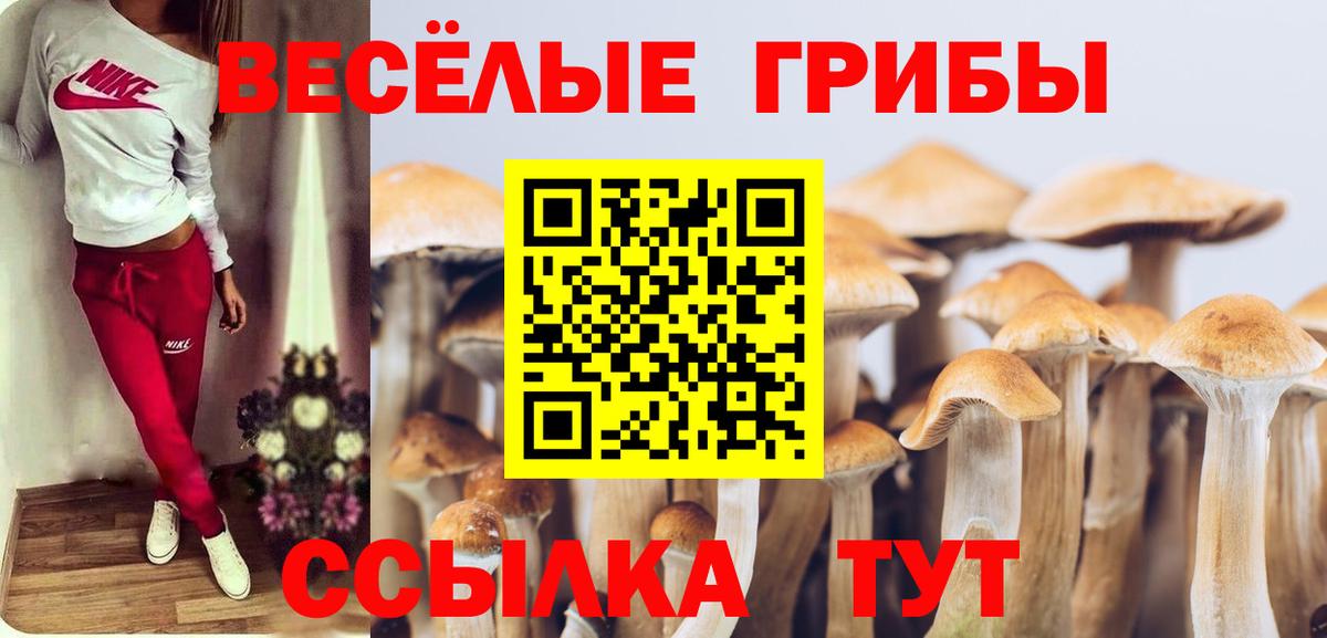 Галлюциногенные грибы прущие грибы  Псилоцибиновые грибы мицелий  Вход с VPN  Лобня 