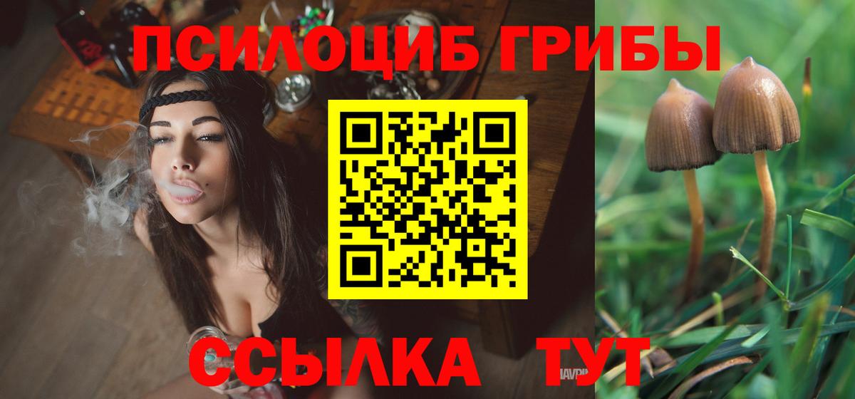 Галлюциногенные грибы прущие грибы Лобня